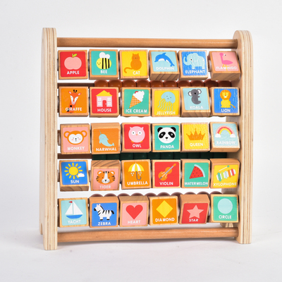 STEAM TOY (30)